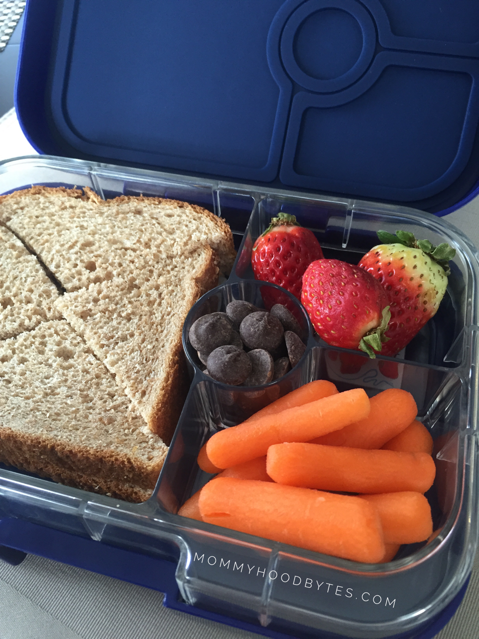 Three Ways Your Lunchbox Can Promote Weight Loss | Erin Palinski-Wade