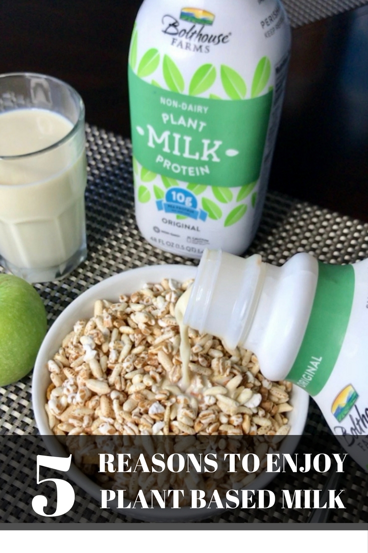 5 Reasons to Add Plant Based Milk to Your Diet