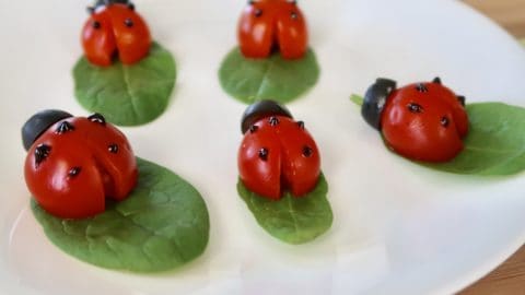 Vegetable Art For Picky Eaters: Tomato Ladybugs