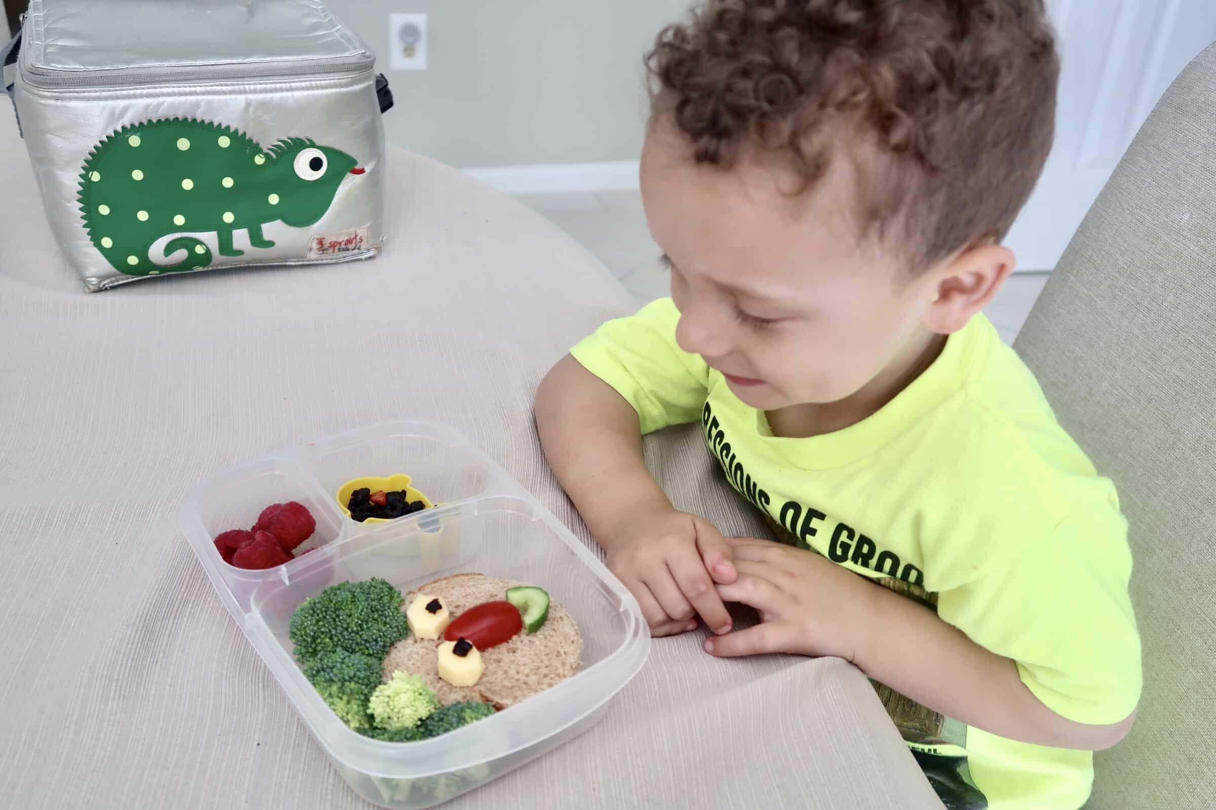Healthy lunchbox ideas for kids bento box food art for kids