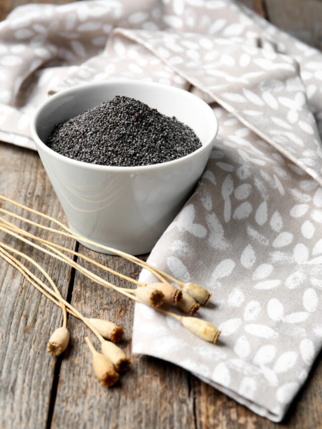 Does Black Seed Oil Help You Lose Weight?