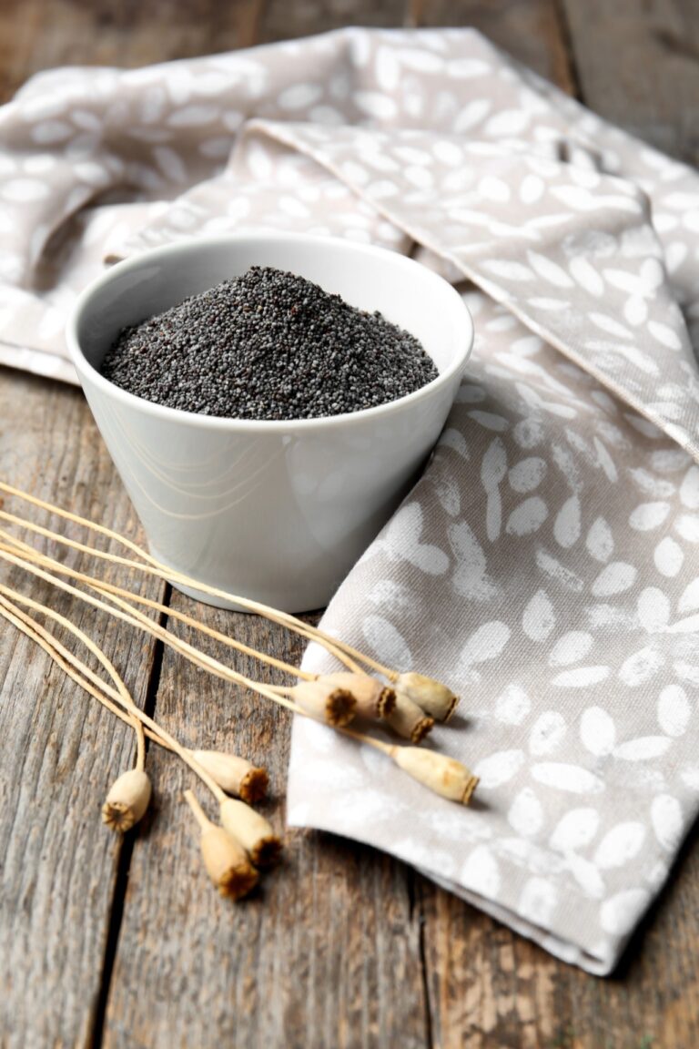 Does Black Seed Oil Help You Lose Weight?