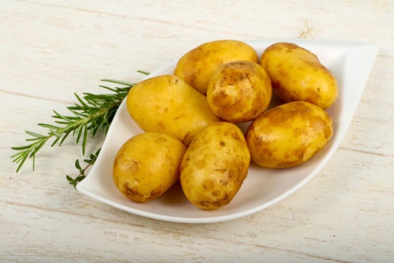 Potatoes on a plate with a rosemary beside