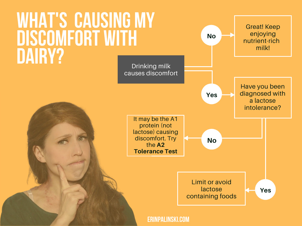 decision tree to determine if a1 vs a2 protein can be tolerated or lactose intolerance