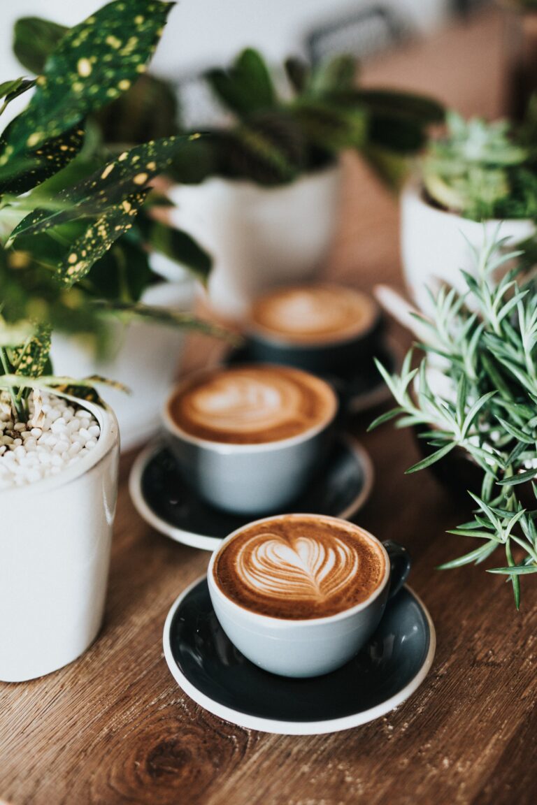 Couple of cappuccino cups on the table with plants