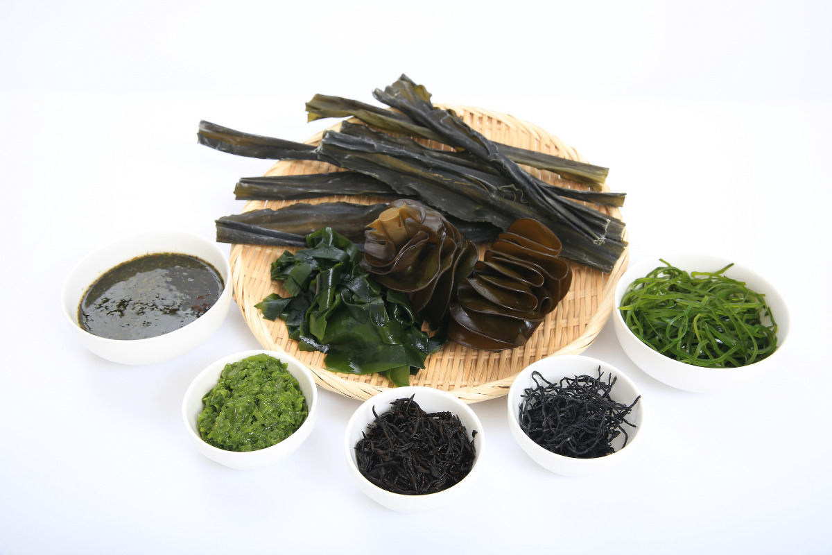 Various sea greens in a cups against the white background