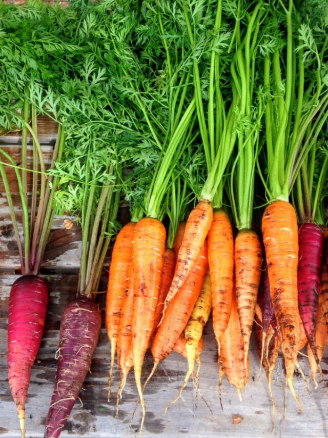 Are There Too Many Carbs in Carrots?