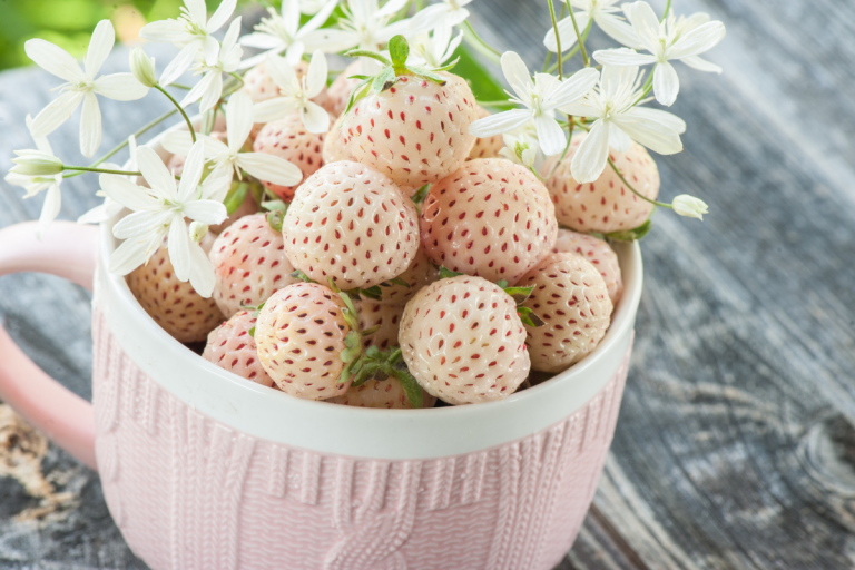 Pineberries in a cup with flowers