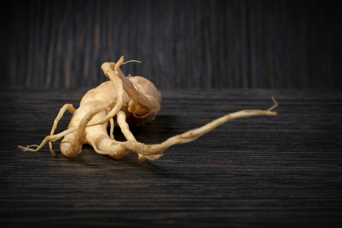 Ginseng against the dark wooden surface