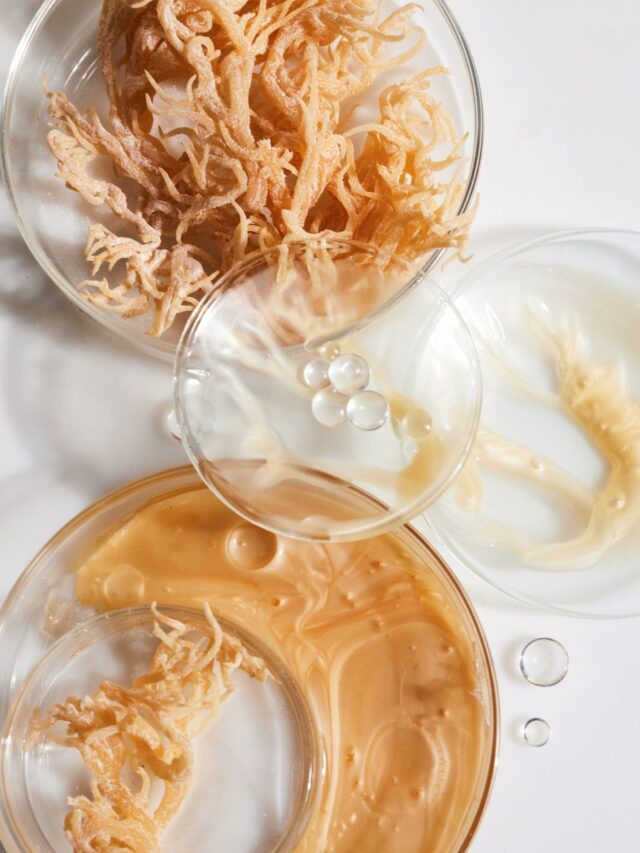 Should you use sea moss for weight loss? Erin PalinskiWade