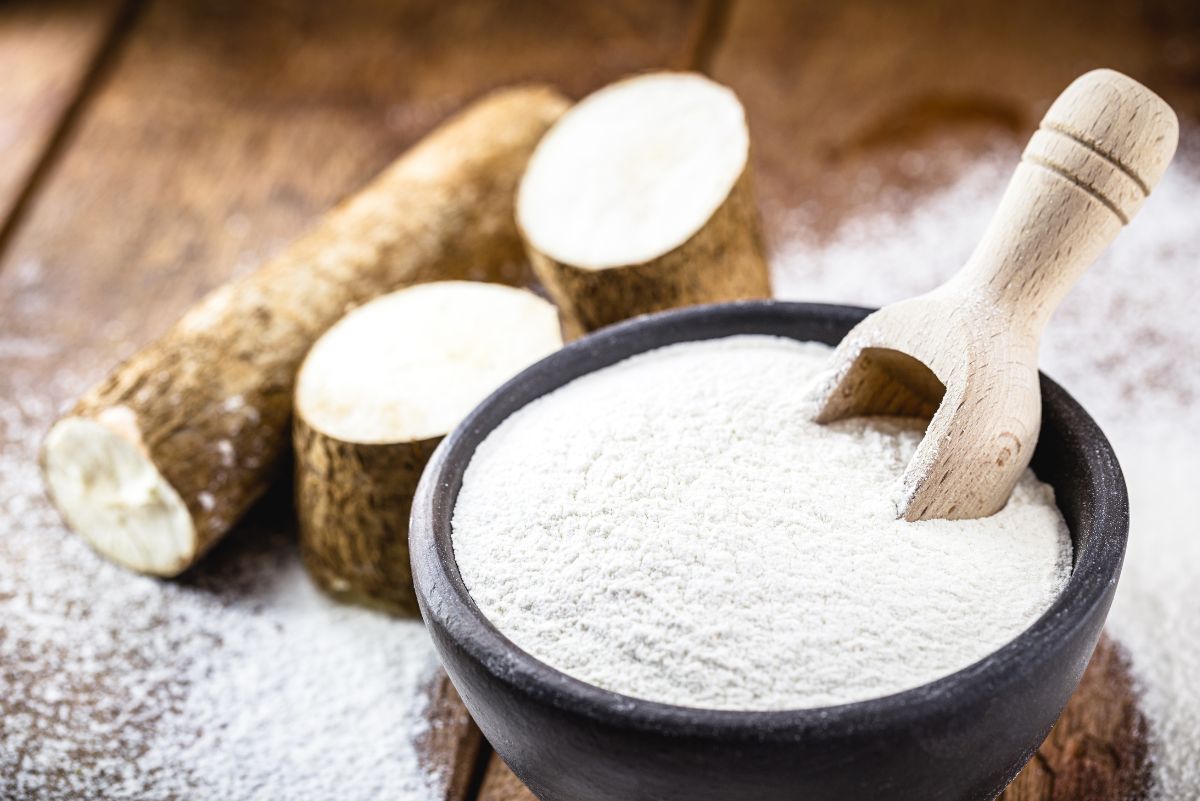 Cassava flour in a bowl with wooden spoon and cassava root on a table