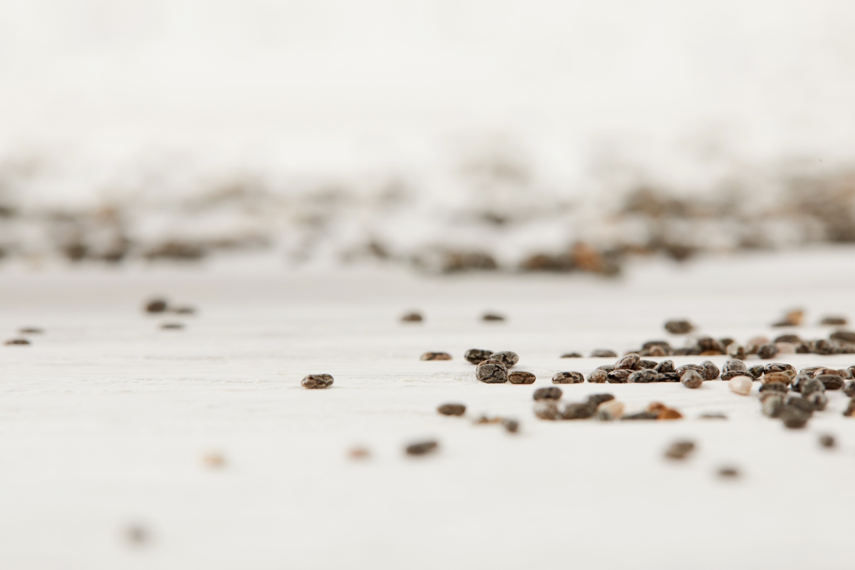 Chia seeds scattered on a white background