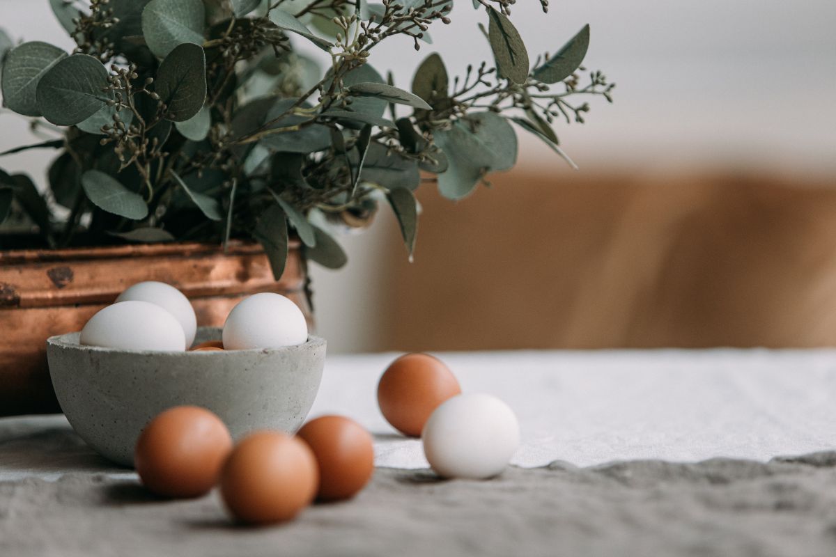 Eggs in a bowl and a few scattered around with a plant in the pot in the background
