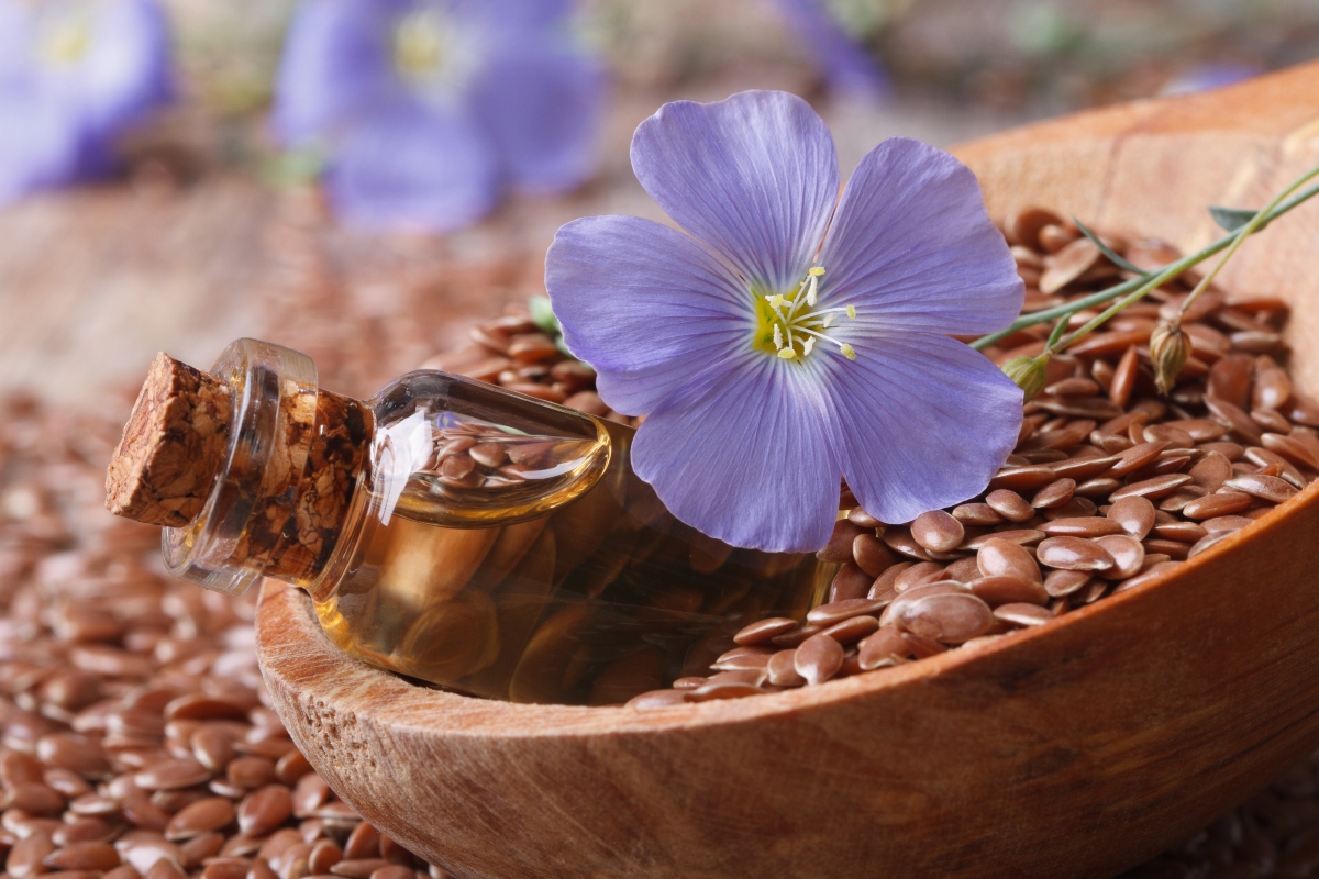 flax oil in a glass bottle, flowers and seeds in a wooden spoon macro horizontal