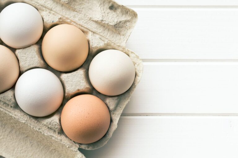 Eggs in a carboard box