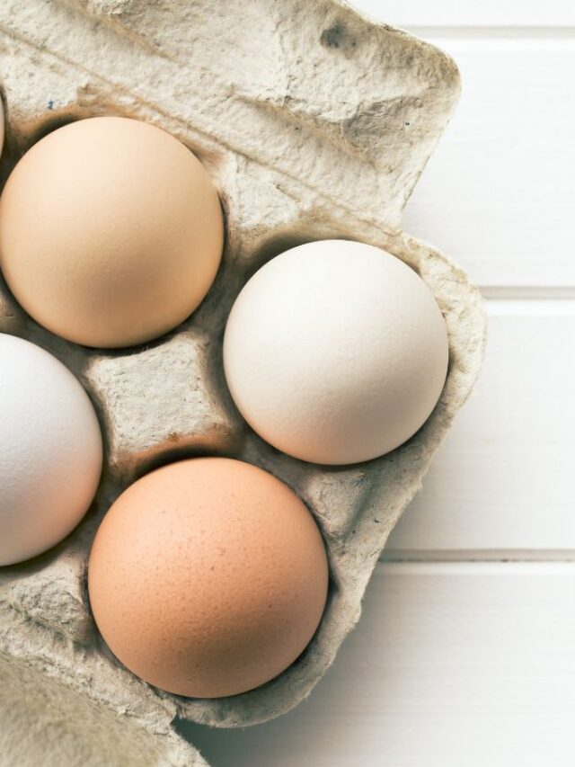 Eggs in a carboard box