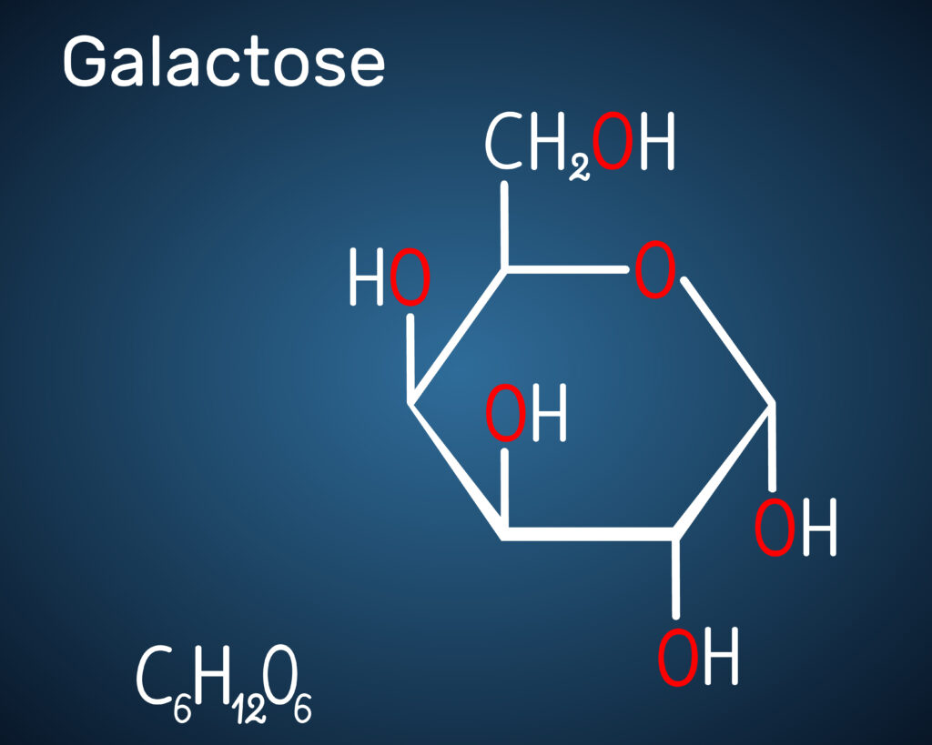chemical symbol for galactose the sugar people with alpha gal syndrome need to avoid with an alpha gal allergy red meat allergy