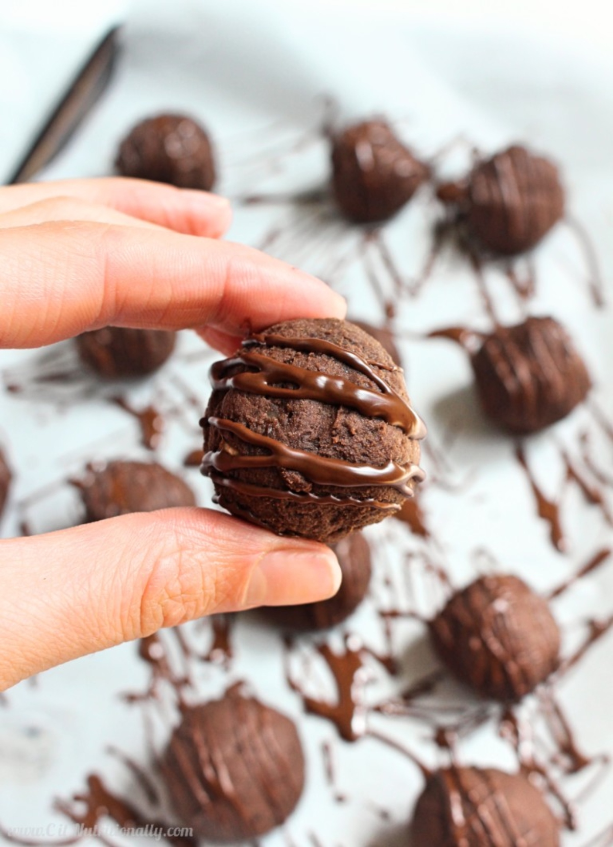 5 ingredient raw brownie bites