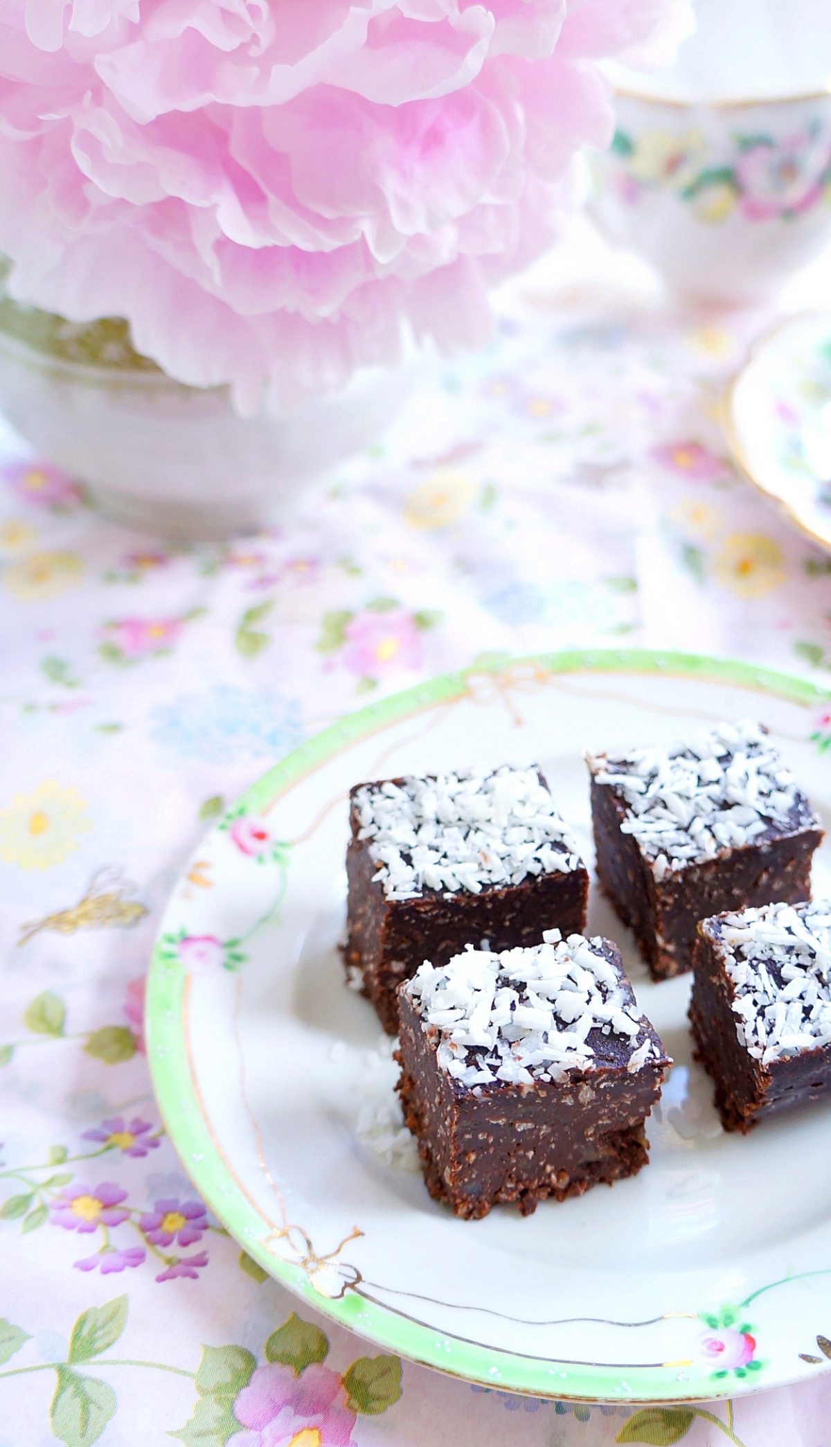 Chocolate coconut fudge