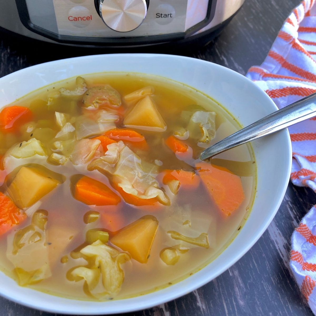 Instant pot vegetable soup