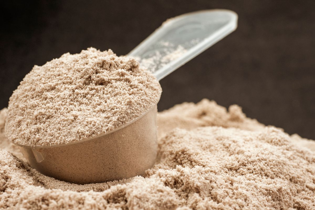 Protein powder in a scoop