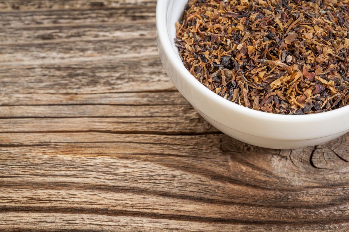 Irish moss seaweed in a white bowl