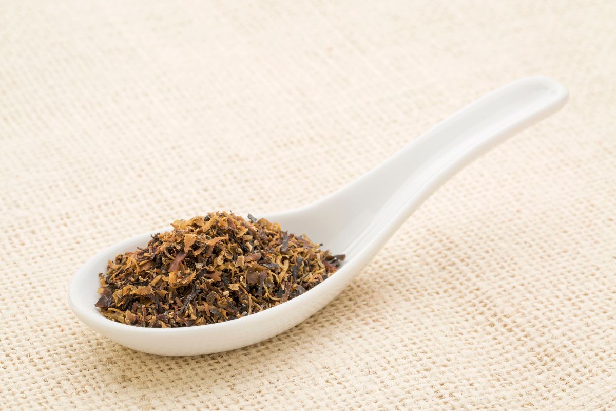 Irish sea moss in a white spoon