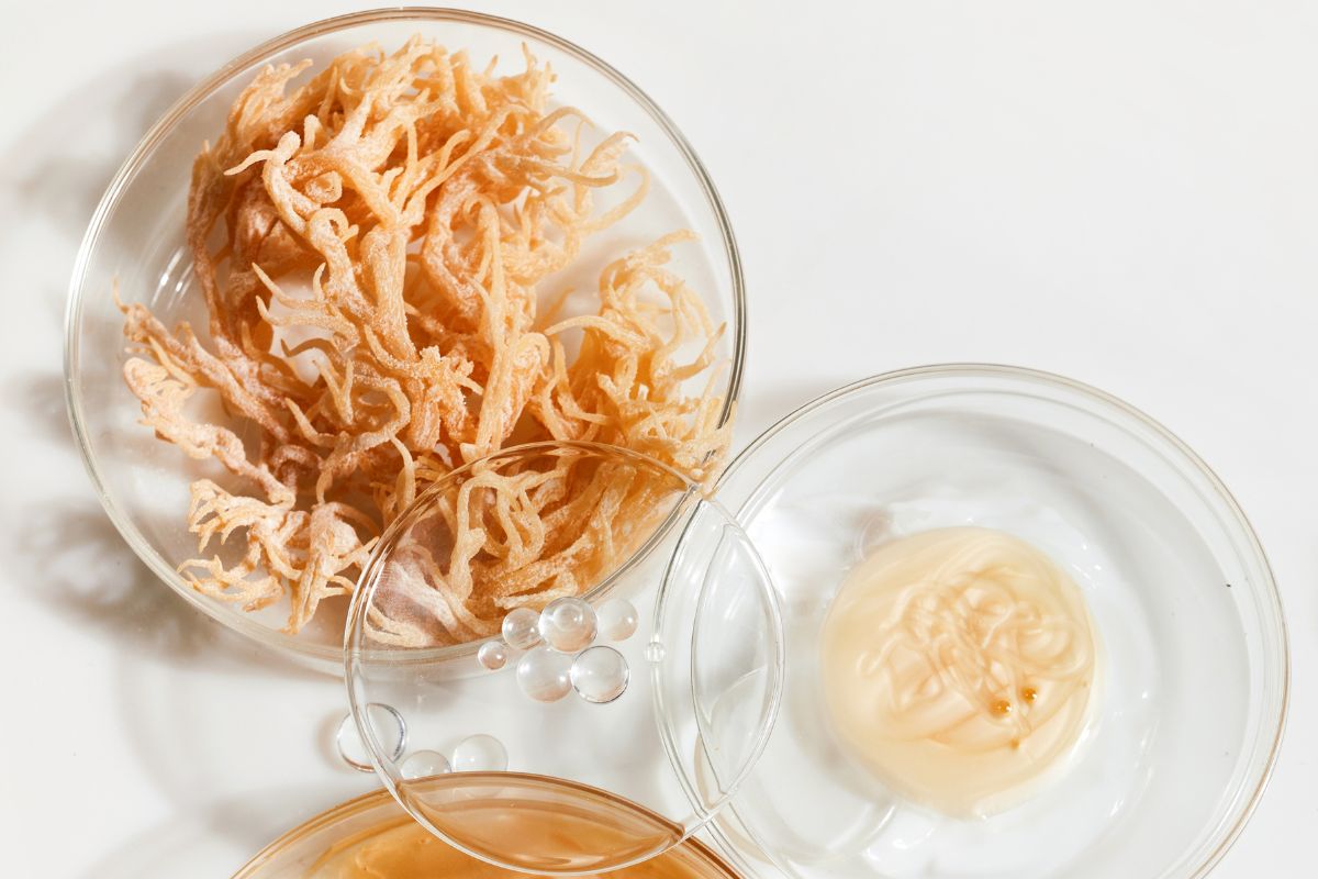 Sea moss benefits for women