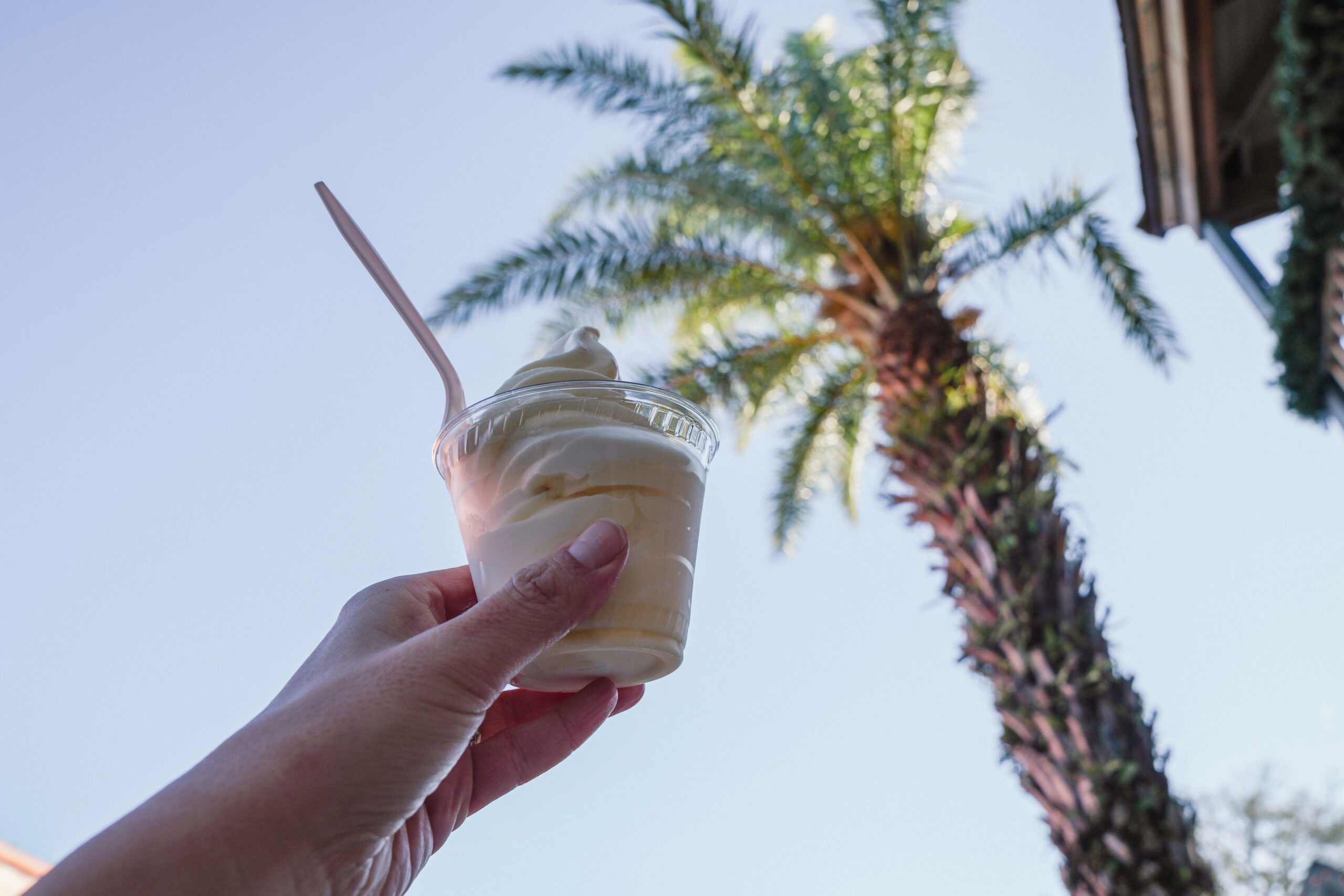 hand holding up a Dole Whip in front of a palm tree eating with diabetes at disney world