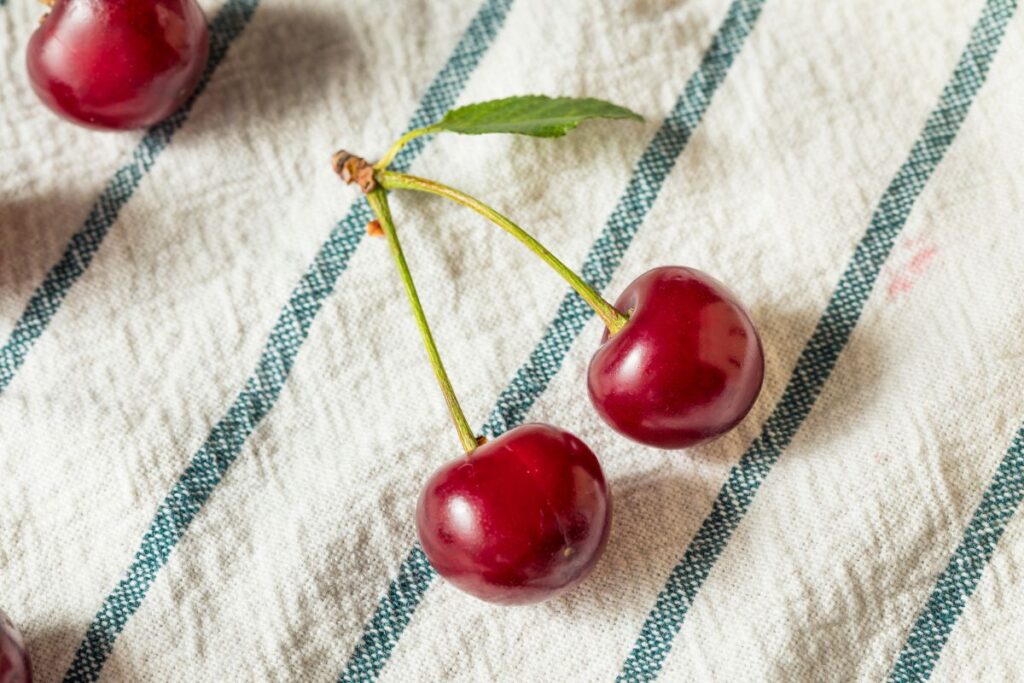 Tart cherries evening snack for sleep